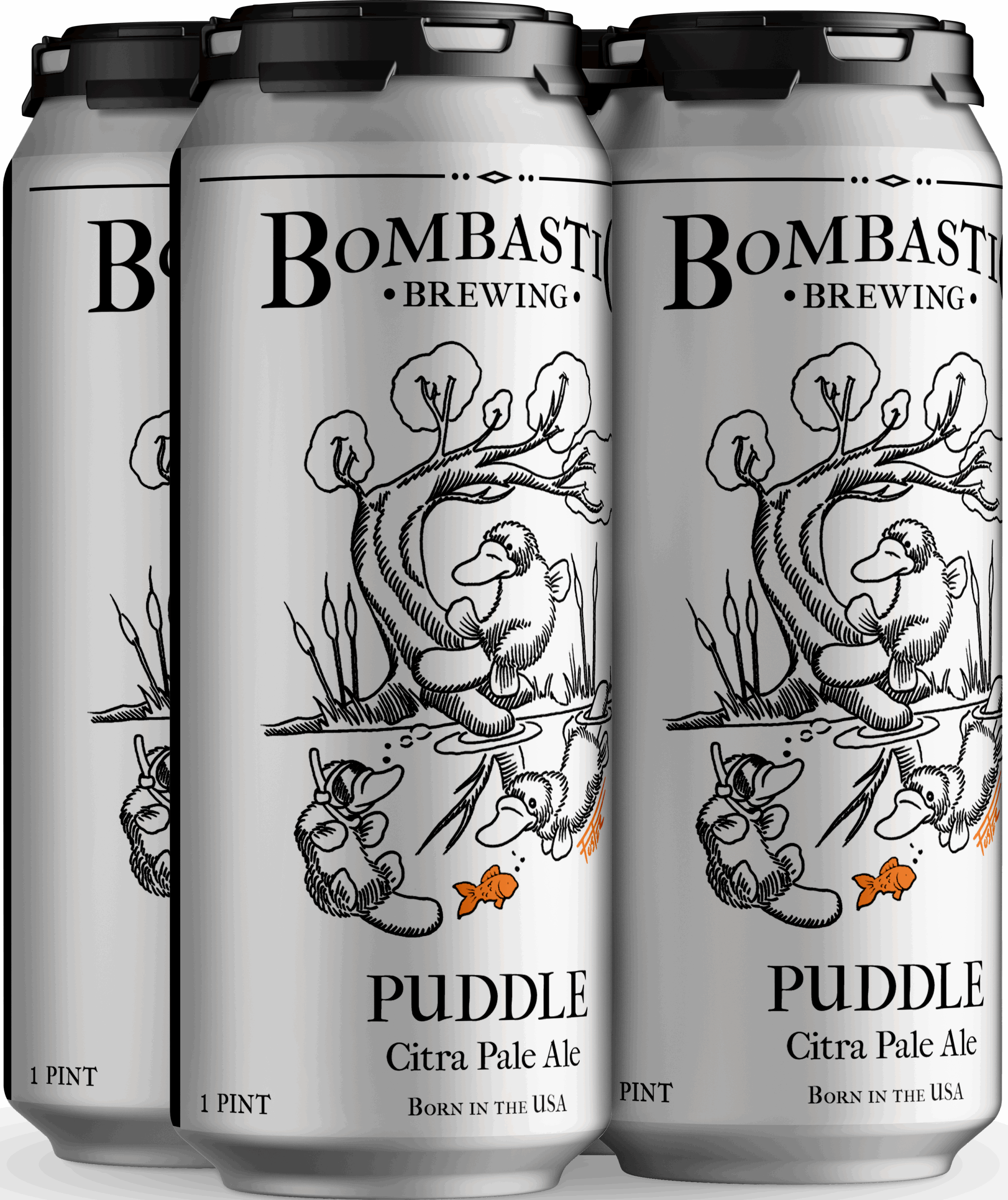 Puddle Pale Ale brewed with Citra hops. Puddle Pale Ale brewed with Citra hops.